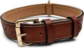 Hondenhalsband