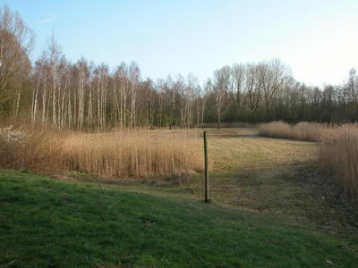 DSCN0297
