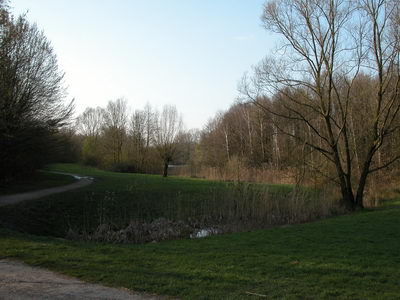 DSCN0298