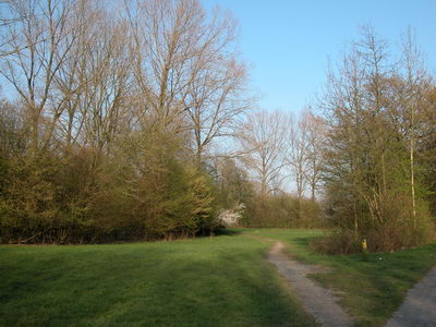DSCN0299