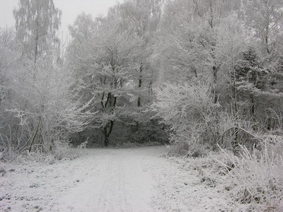 DSCN0362