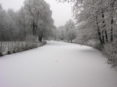 DSCN0376