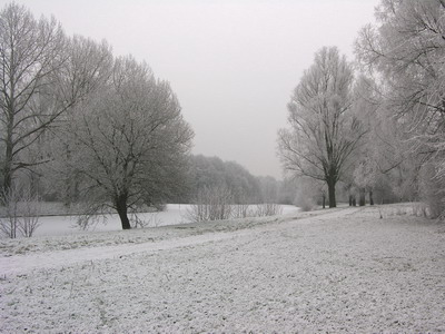 DSCN0377