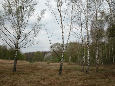 DSCN0439