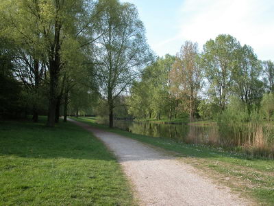 DSCN0484
