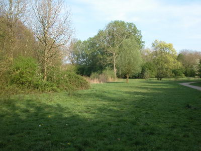 DSCN0486