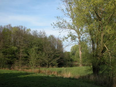 DSCN0487