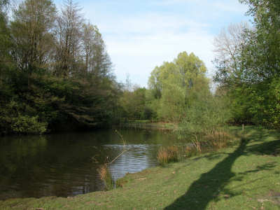 DSCN0489