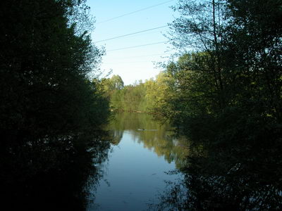 DSCN053