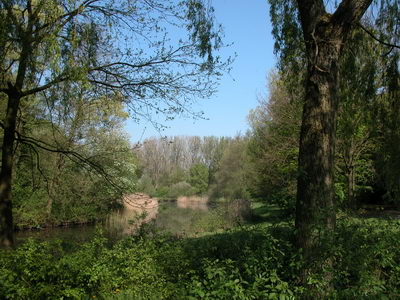 DSCN0536