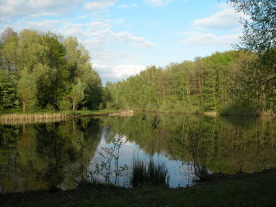 DSCN0537