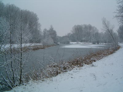 HPIM085