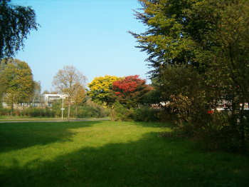 6 oktober 2005