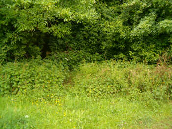 19 mei 2006