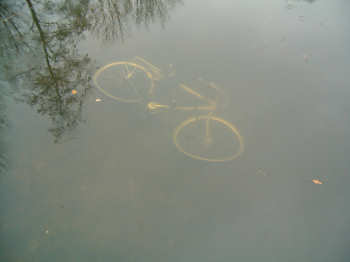 19 december 2005