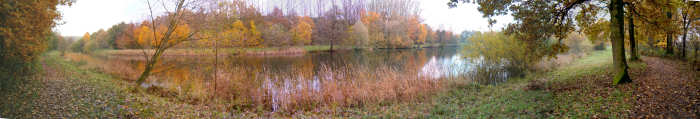 17 november 2006