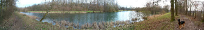 17 februari 2007