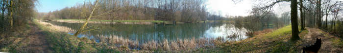 15 maart 2007