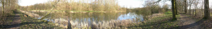 11 februari 2008