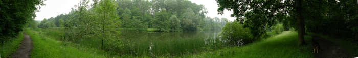 6 juni 2008