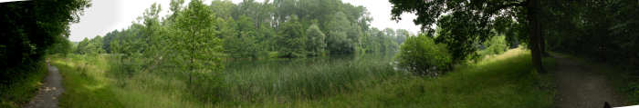 15 juli 2008