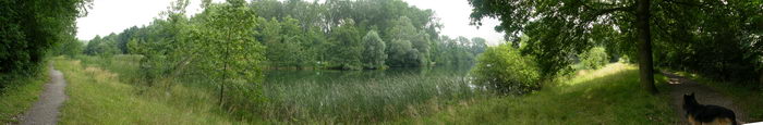 5 augustus 2008