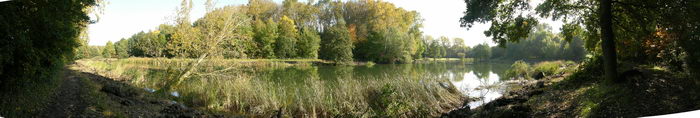 10 oktober 2008