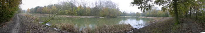 11 november 2008