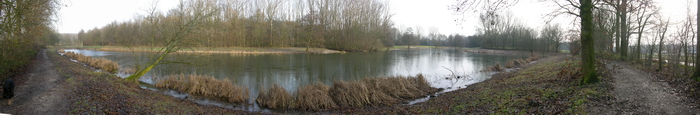 8 december 2008