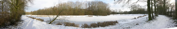 12 januari 2009
